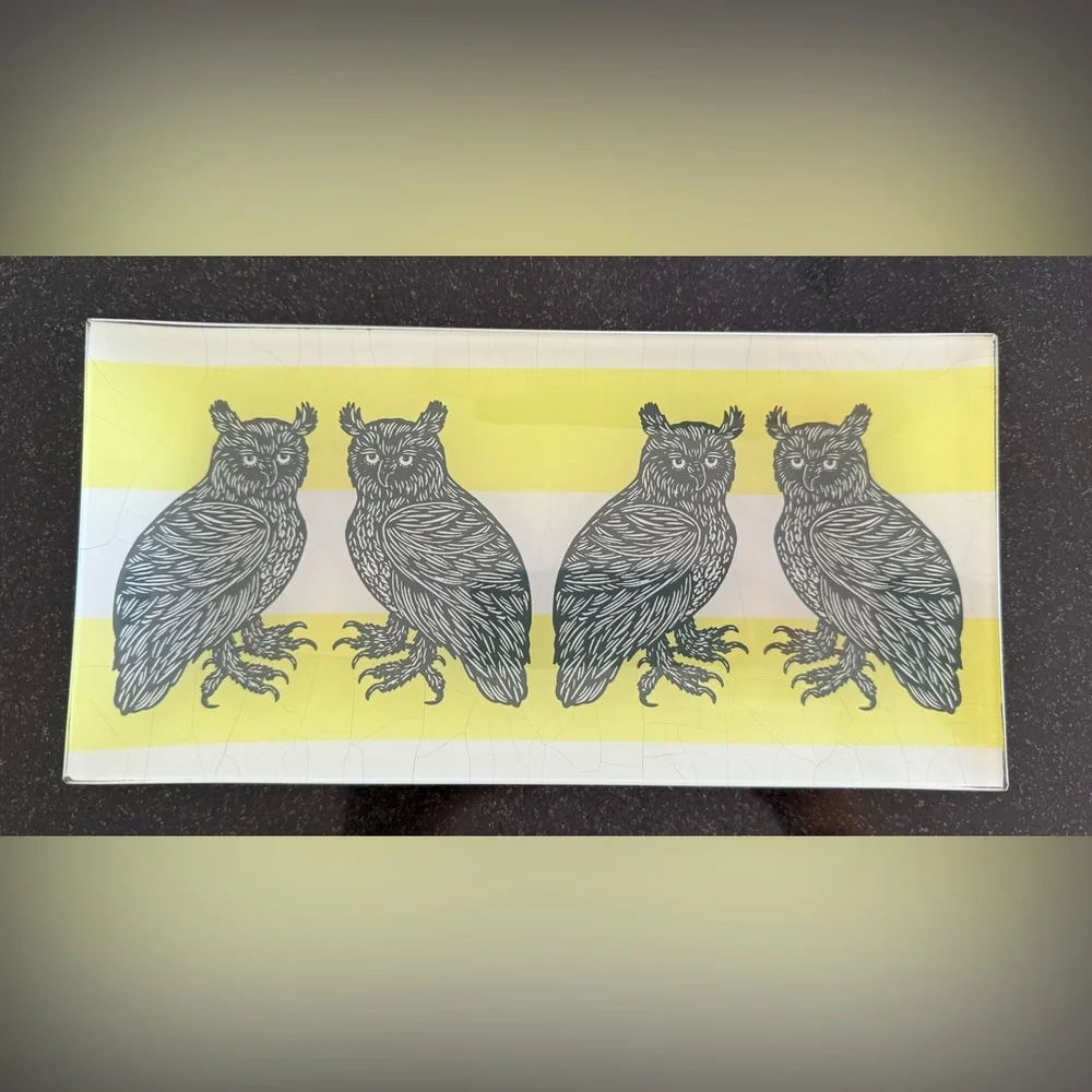 EUC West Elm glass owl tray